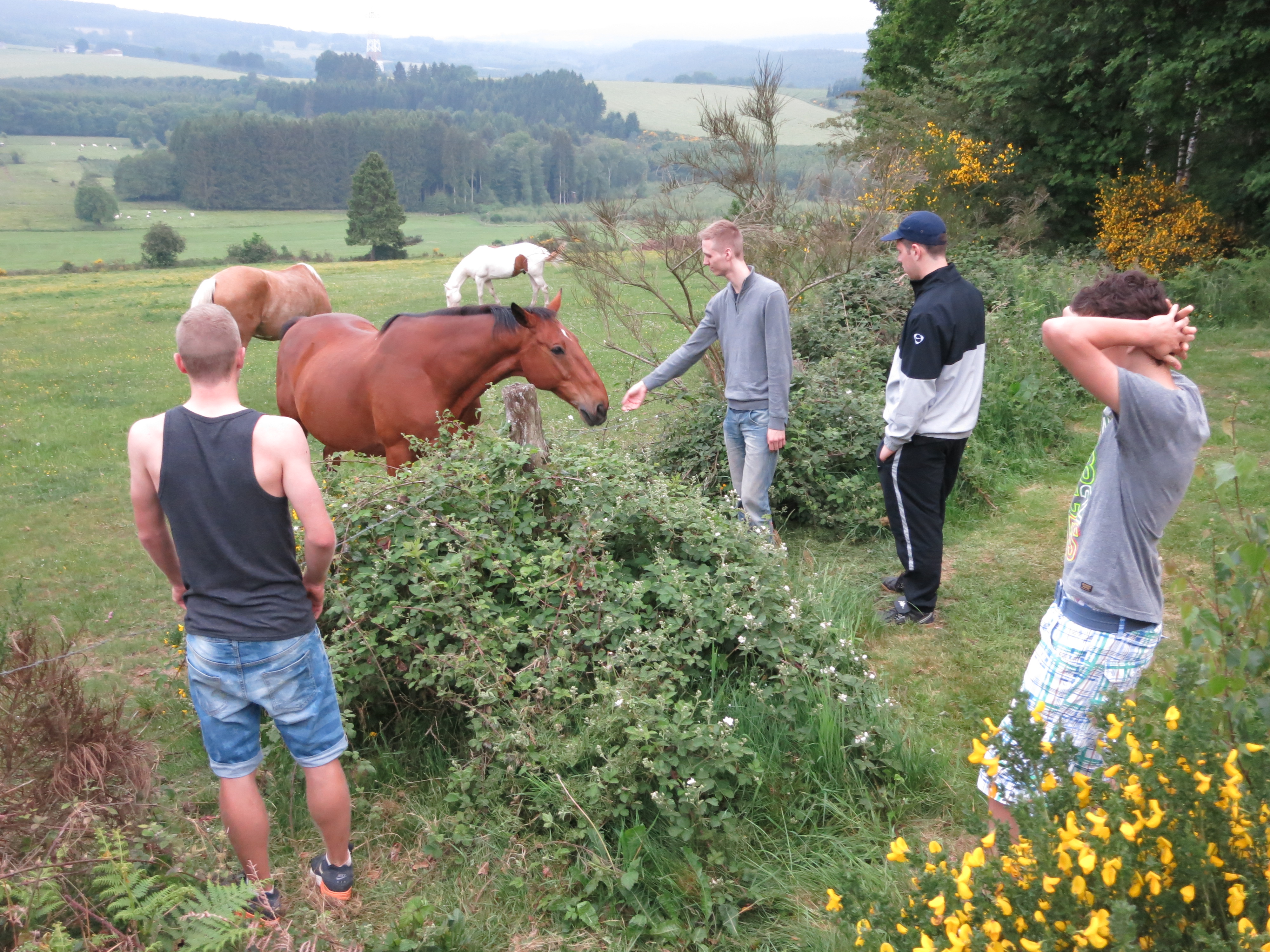 HWK Ardennes 2014 024.jpg
